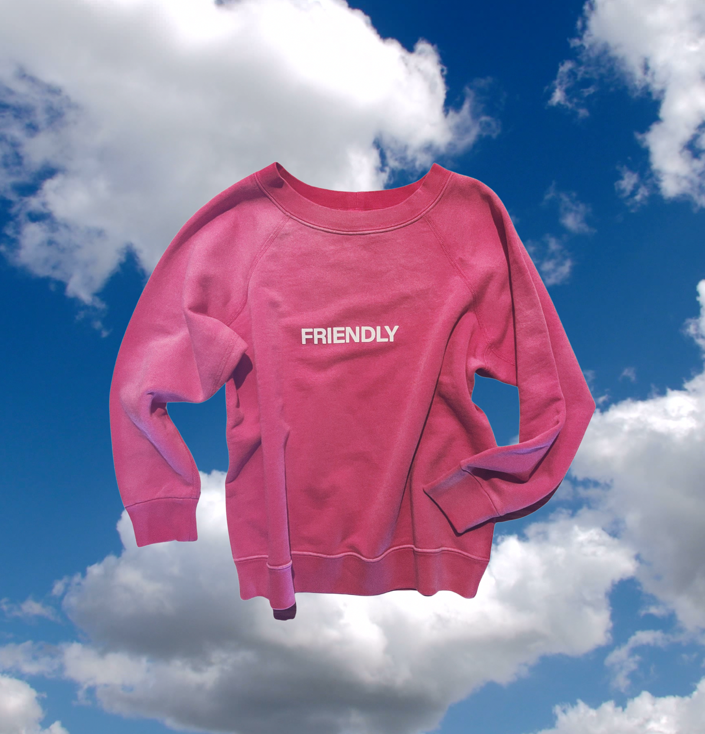 ☀️ SAMPLE SALE- FRIENDLY Crew For Her in Punk