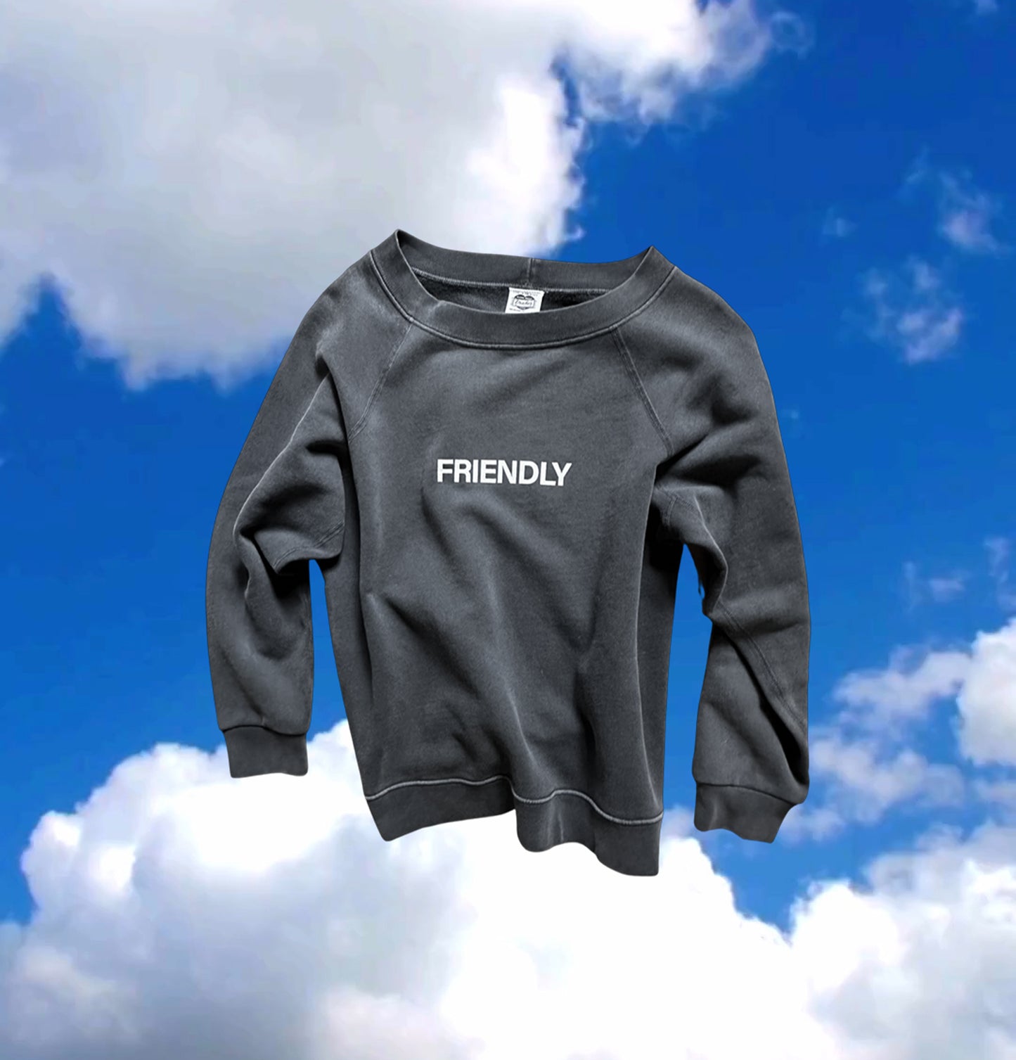 ☀️ SAMPLE SALE- Fitted Crew For Her / FRIENDLY in BLVD