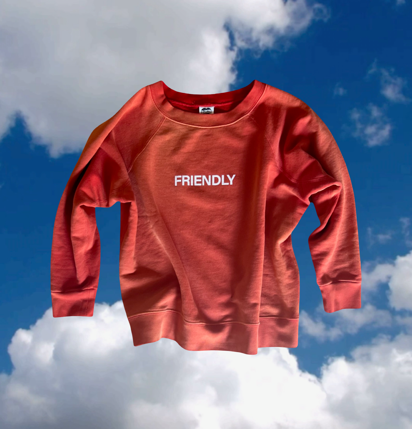 ☀️ SAMPLE SALE- FRIENDLY Crew For Her in Dynamite