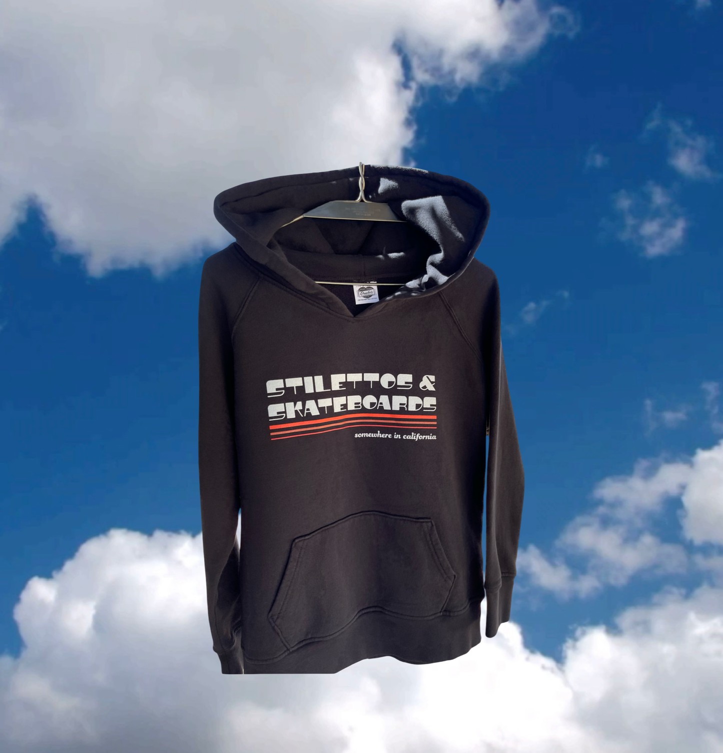 ☀️ SAMPLE SALE- STILETTOS & SKATEBOARDS fitted pullover hoodie in Vinyl